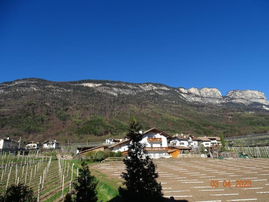 Apartmán Panoramaterrace, Wein & Relax Appiano Sulla Strada Del Vino Exteriér fotografie